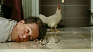 A man with a hangover is laying on the floor due to drinking too much while his pet chicken is looking at him in the background